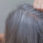 grey hair roots
